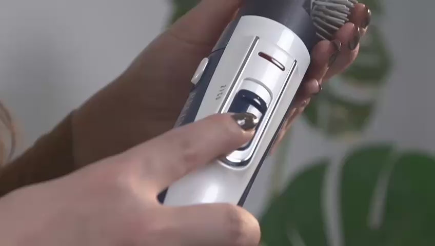 RE-2025-2 1200W Two-Brush Hair Dryer